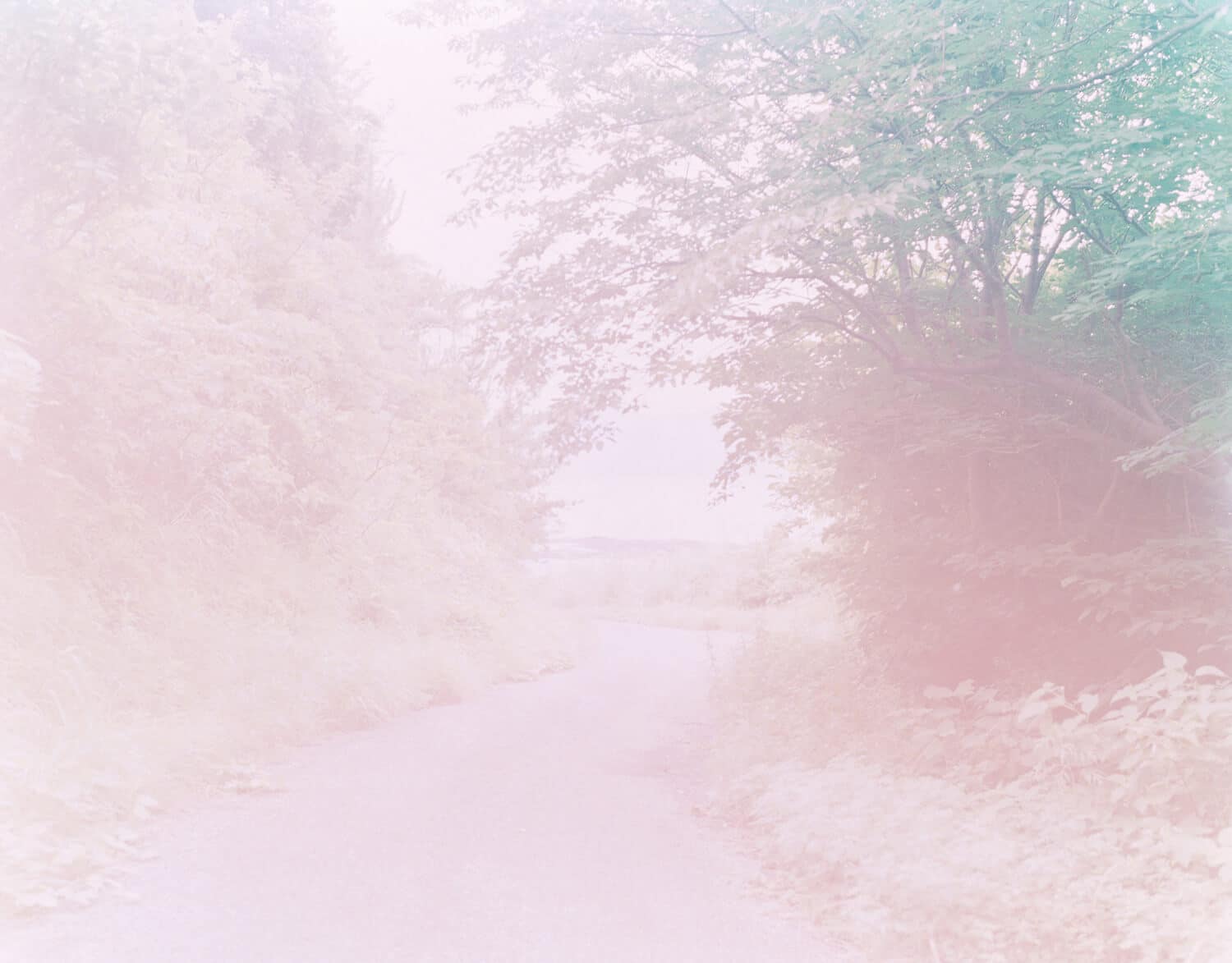 Blog Photographer Rinko Kawauchi